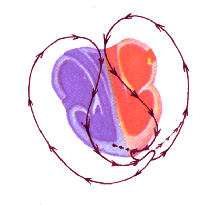 Del deseo al éxtasis: la dimensión transpersonal del abrazo sexual