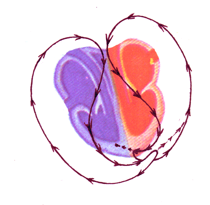 Del deseo al éxtasis: la dimensión transpersonal del abrazo sexual